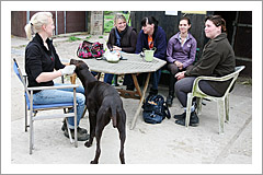 Bei uns ist immer was los!